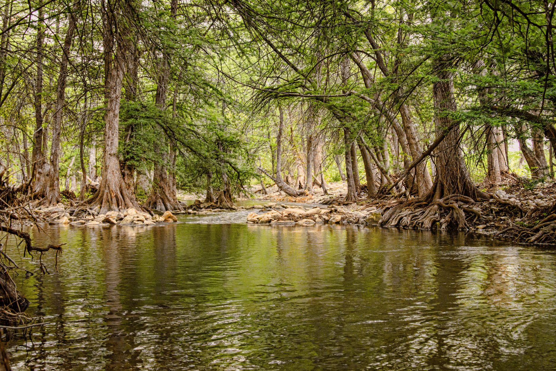 The Guadalupe River flowing through the Texas Hill Country